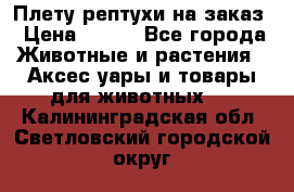 Плету рептухи на заказ › Цена ­ 450 - Все города Животные и растения » Аксесcуары и товары для животных   . Калининградская обл.,Светловский городской округ 